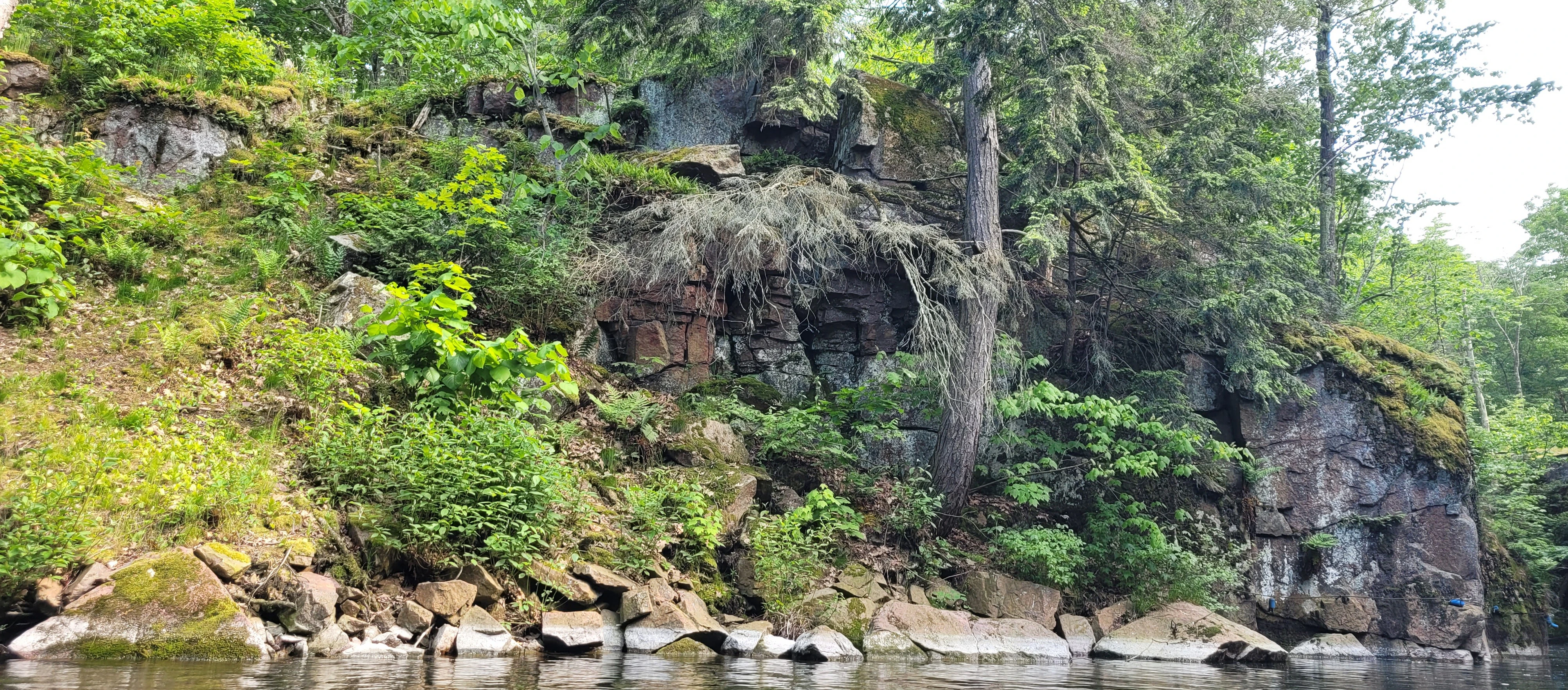 A rocky cliff covered with trees and vegetaion in half moon bay in the Thousand Islands in Ontario Canada